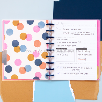 Custom Disc-Bound Monthly Money Budget Planner